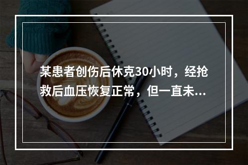 某患者创伤后休克30小时，经抢救后血压恢复正常，但一直未排尿