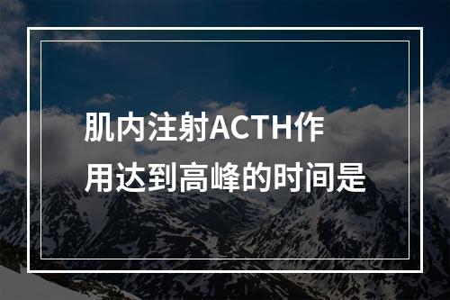 肌内注射ACTH作用达到高峰的时间是