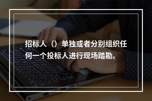 招标人（）单独或者分别组织任何一个投标人进行现场踏勘。