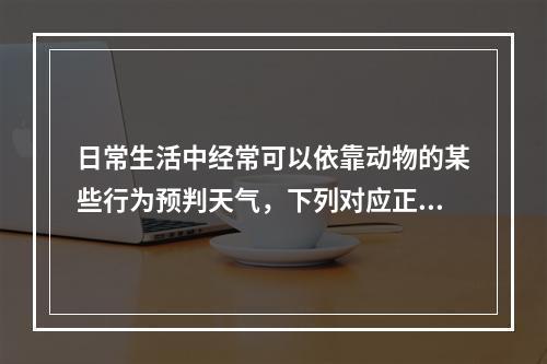 日常生活中经常可以依靠动物的某些行为预判天气，下列对应正确的