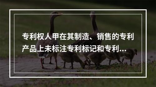 专利权人甲在其制造、销售的专利产品上未标注专利标记和专利号，