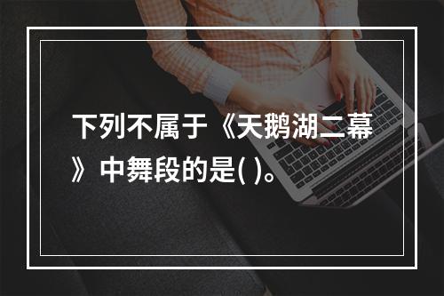 下列不属于《天鹅湖二幕》中舞段的是( )。