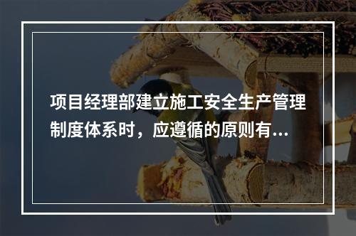 项目经理部建立施工安全生产管理制度体系时，应遵循的原则有（　