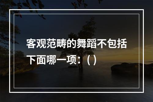 客观范畴的舞蹈不包括下面哪一项：( )