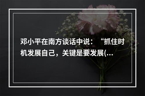 邓小平在南方谈话中说：“抓住时机发展自己，关键是要发展()。