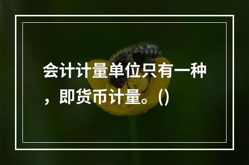 会计计量单位只有一种，即货币计量。()