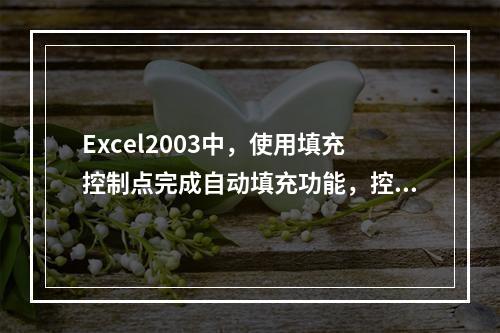 Excel2003中，使用填充控制点完成自动填充功能，控制点