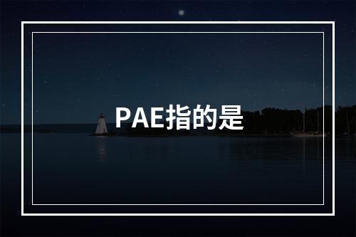 PAE指的是