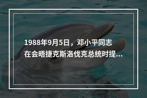 1988年9月5日，邓小平同志在会晤捷克斯洛伐克总统时提出了