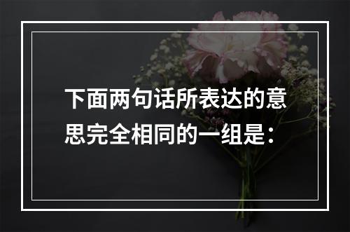 下面两句话所表达的意思完全相同的一组是：