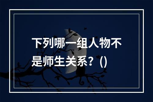 下列哪一组人物不是师生关系？()