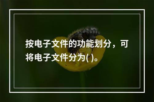 按电子文件的功能划分，可将电子文件分为( )。