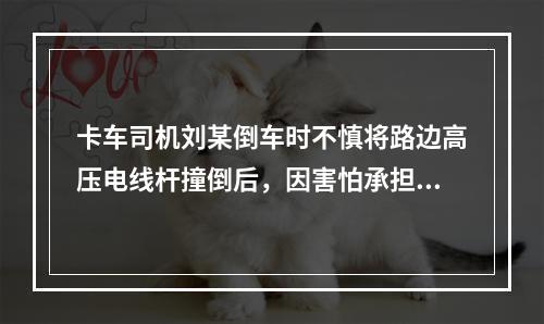 卡车司机刘某倒车时不慎将路边高压电线杆撞倒后，因害怕承担责任