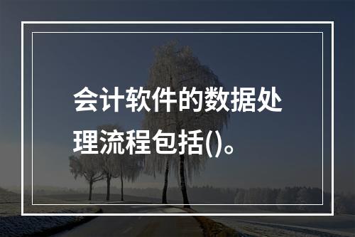 会计软件的数据处理流程包括()。