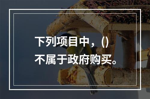 下列项目中，()不属于政府购买。