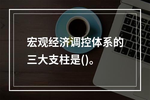 宏观经济调控体系的三大支柱是()。