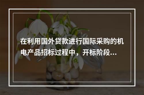 在利用国外贷款进行国际采购的机电产品招标过程中，开标阶段，当