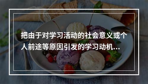 把由于对学习活动的社会意义或个人前途等原因引发的学习动机称作