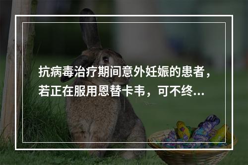 抗病毒治疗期间意外妊娠的患者，若正在服用恩替卡韦，可不终止妊