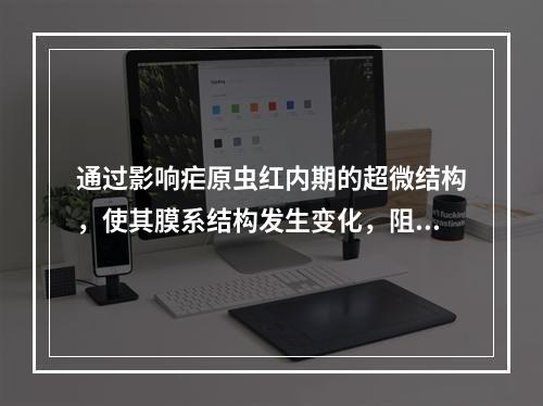 通过影响疟原虫红内期的超微结构，使其膜系结构发生变化，阻断原