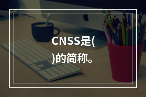 CNSS是()的简称。