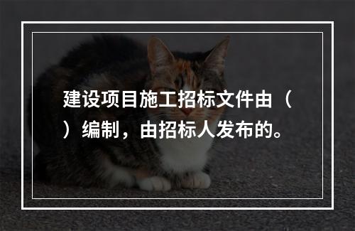 建设项目施工招标文件由（）编制，由招标人发布的。