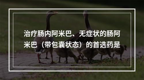 治疗肠内阿米巴、无症状的肠阿米巴（带包囊状态）的首选药是