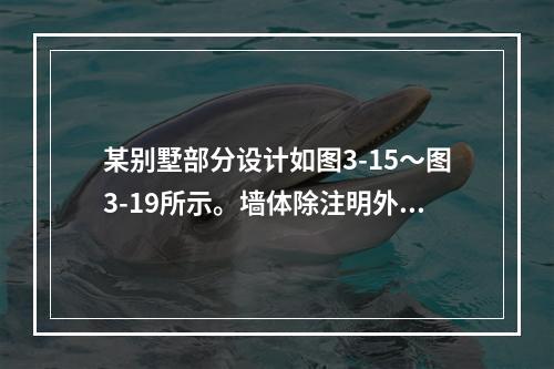 某别墅部分设计如图3-15～图3-19所示。墙体除注明外均为