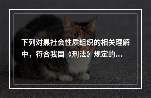 下列对黑社会性质组织的相关理解中，符合我国《刑法》规定的有(