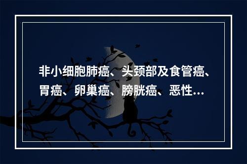 非小细胞肺癌、头颈部及食管癌、胃癌、卵巢癌、膀胱癌、恶性淋巴