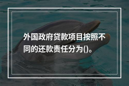 外国政府贷款项目按照不同的还款责任分为()。