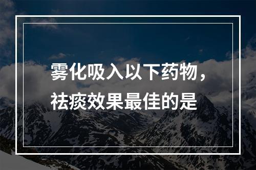 雾化吸入以下药物，祛痰效果最佳的是