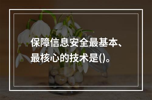 保障信息安全最基本、最核心的技术是()。