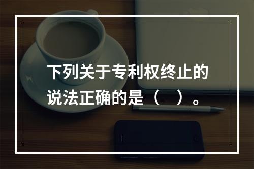 下列关于专利权终止的说法正确的是（　）。