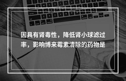 因具有肾毒性，降低肾小球滤过率，影响博来霉素清除的药物是