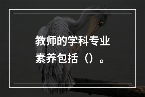 教师的学科专业素养包括（）。