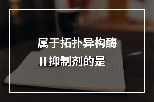 属于拓扑异构酶Ⅱ抑制剂的是