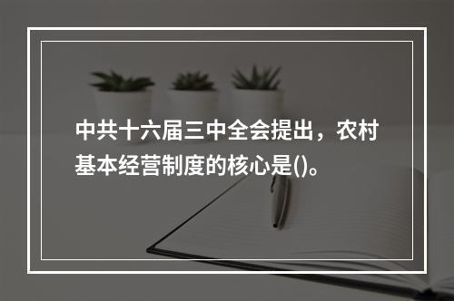 中共十六届三中全会提出，农村基本经营制度的核心是()。