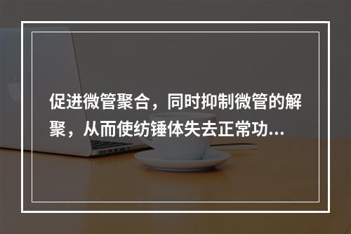 促进微管聚合，同时抑制微管的解聚，从而使纺锤体失去正常功能，