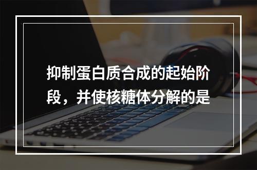 抑制蛋白质合成的起始阶段，并使核糖体分解的是