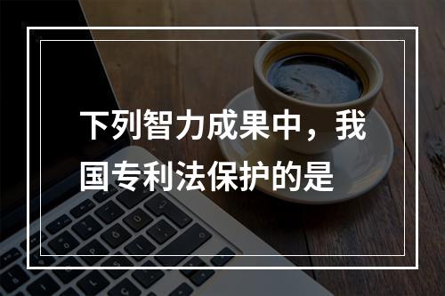 下列智力成果中，我国专利法保护的是