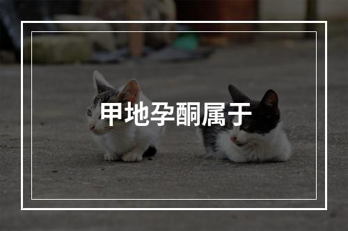 甲地孕酮属于