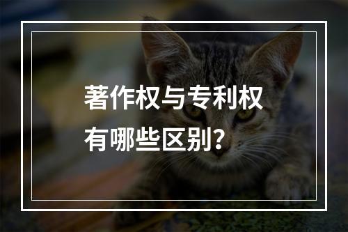 著作权与专利权有哪些区别？