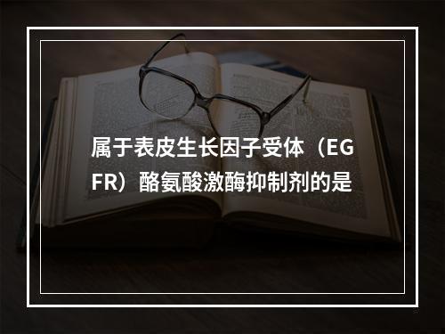 属于表皮生长因子受体（EGFR）酪氨酸激酶抑制剂的是