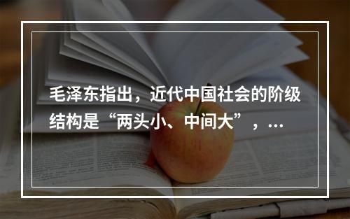 毛泽东指出，近代中国社会的阶级结构是“两头小、中间大”，其中