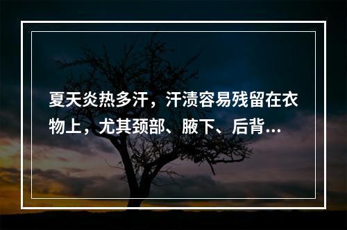 夏天炎热多汗，汗渍容易残留在衣物上，尤其颈部、腋下、后背等部