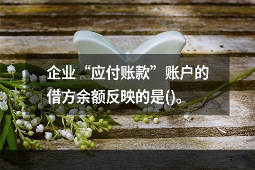 企业“应付账款”账户的借方余额反映的是()。