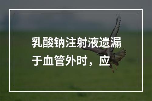 乳酸钠注射液遗漏于血管外时，应