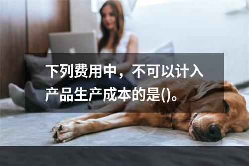 下列费用中，不可以计入产品生产成本的是()。