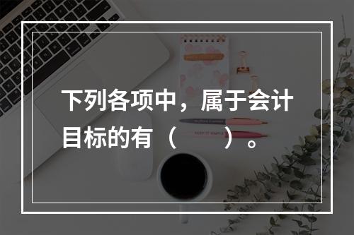 下列各项中，属于会计目标的有（　　）。